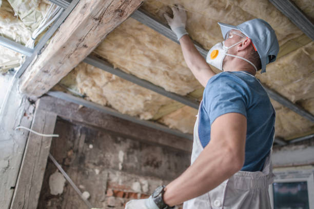 Best Residential Insulation Services  in Sunman, IN