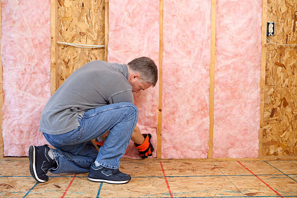 Best Spray Foam Insulation  in Sunman, IN