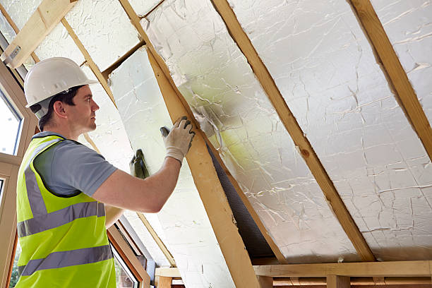 Best Insulation Removal Services  in Sunman, IN