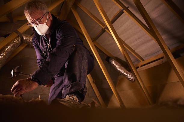 Best Insulation Replacement Services  in Sunman, IN