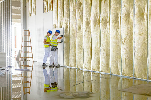 Best Soundproof Insulation Installation  in Sunman, IN